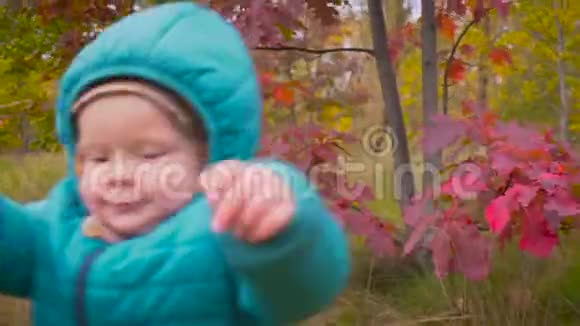 一只耳朵的老孩子穿过秋天的公园玩花万向节视频的预览图