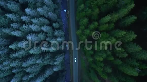 山岭间针叶林道路上汽车骑行的鸟瞰图视频的预览图