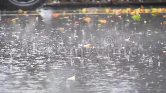 雨水掉进沥青上的大水坑里淹没了街道雨季暴雨导致道路洪水视频的预览图