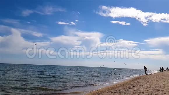 人们在海边海鸥飞过海滩海鸥缓慢地飞过海滩视频的预览图