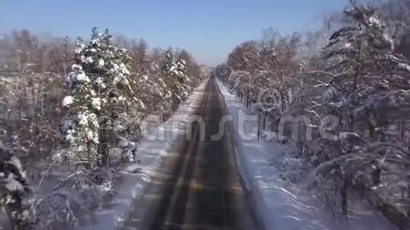 无人机视觉车在冬季公路上行驶背景是雪树冬季雪道上的空中观景车交通视频的预览图