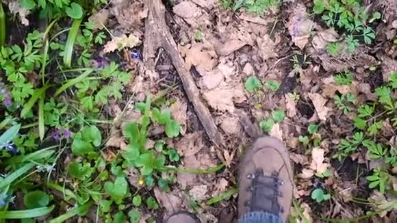 在春天森林的步道上行走的腿视频的预览图