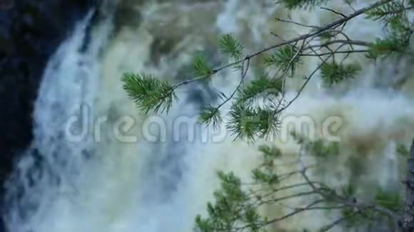 背景中的瀑布模糊树枝在焦点的前方视频的预览图
