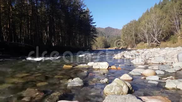 夏季的山河自然景观溪景岸景视频的预览图
