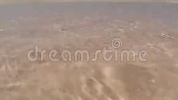 清澈的水面波浪海边白沙视频的预览图
