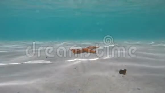 在绿松石水中靠近海岸的橙色海星视频的预览图