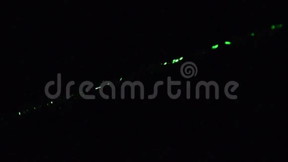 暗尘空气中的绿色激光束视频的预览图
