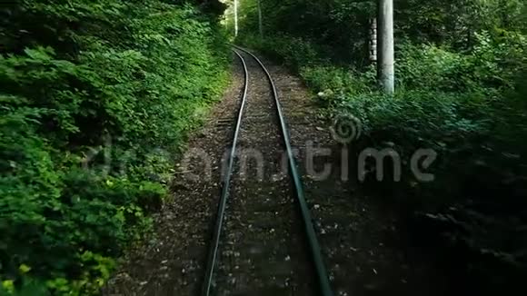 窄轨铁路森林中的铁轨慢动作视频的预览图