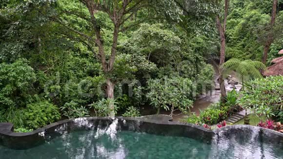 室外热带绿树背景的美丽游泳池视频的预览图