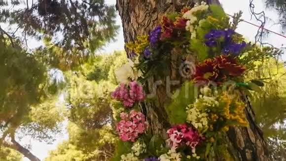 5月1日希腊的劳动节树上挂满了鲜花视频的预览图