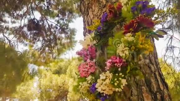 希腊劳动节时挂在树上的花环视频的预览图