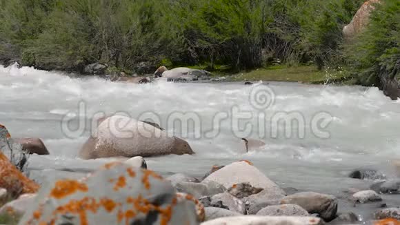 河水在石头上快速流动缓慢流动视频的预览图