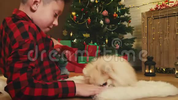 男孩把圣诞驯鹿角放在狗身上视频的预览图