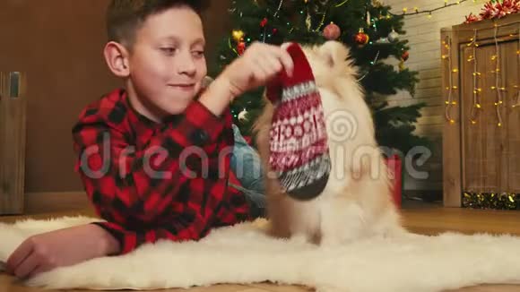 孩子在圣诞夜玩他的狗视频的预览图