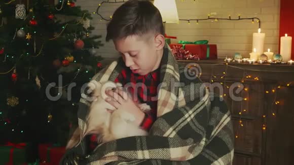 男孩在温暖自己一只狗被裹在被子里视频的预览图