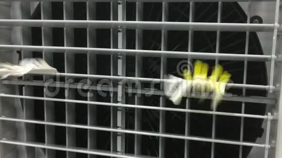 带金属百叶窗和薄塑料条的电动风扇作为空气吹动指示器视频的预览图