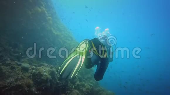 潜水员在水下的新珊瑚礁视频的预览图