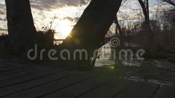 在一个湖的侧面拍摄的幻灯片显示了树木和湖泊植被视频的预览图