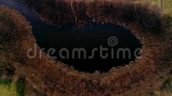 小湖上空的无人机镜头更接近天鹅视频的预览图