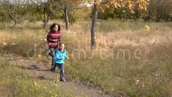 两个孩子在秋天公园跑步视频的预览图