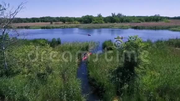 皮划艇上的游客沿着河在芦苇丛中游泳视频的预览图