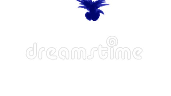 白色背景上一股强大的深蓝色墨水从上到下依次溶解在水中侧视图视频的预览图