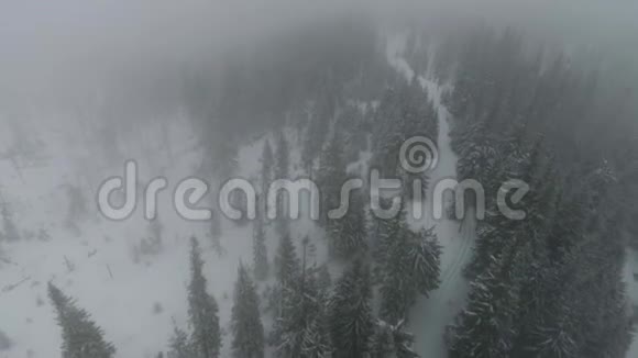 无人驾驶飞机在雾中飞入白雪覆盖的针叶林视频的预览图