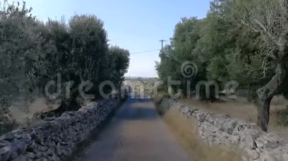 意大利南部阿普利亚地区SalentoValledaItria的乡村公路视频的预览图
