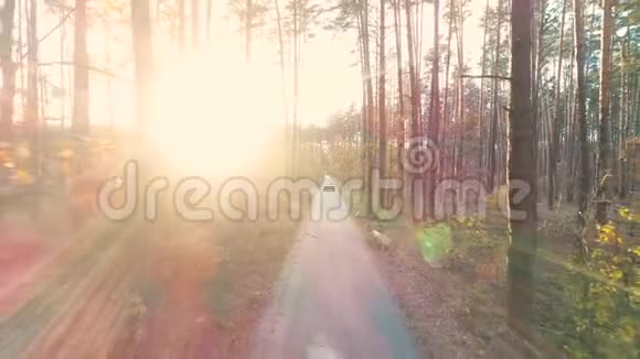 在阳光下在森林中乘坐复古车视频的预览图