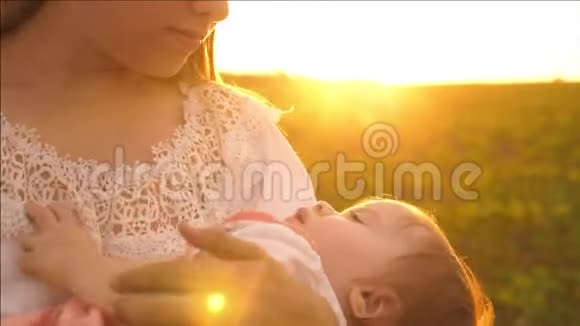 在夕阳的金色光芒中婴儿在母亲的怀里睡着了慢动作视频的预览图