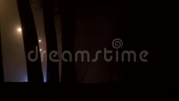 夜晚的道路在雾中汽车行驶一个人行走交通安全背景视频的预览图