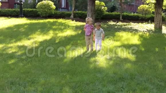 两个有趣的小男孩在草地上的夏天公园里玩视频的预览图