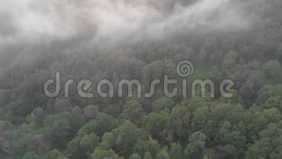 鸟瞰印度尼西亚丛林和森林的傍晚雾和蒸发视频的预览图