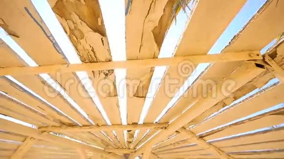 夏天的木制雨伞视频的预览图