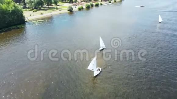 美丽的全景河上的小帆船比赛雷加塔比赛帆船运动场培训视频的预览图