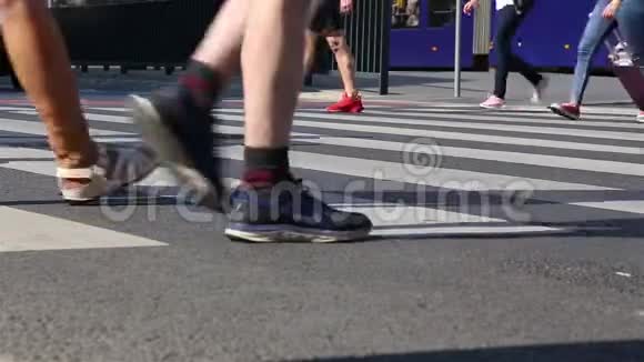 人群在人行横道上行走的腿人群脚的特写视频的预览图