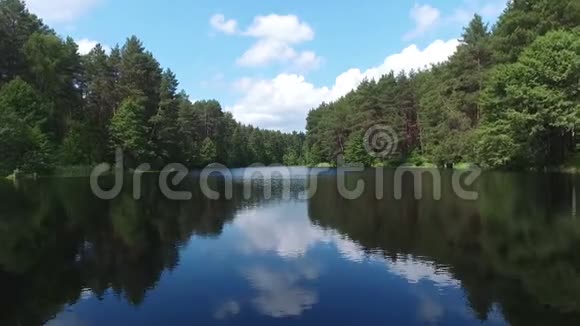 夏林中的湖泊视频的预览图