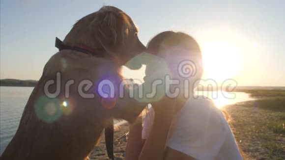 狗舔女孩的脸夏天女孩在沙滩上和狗在阳光下玩耍时大笑视频的预览图
