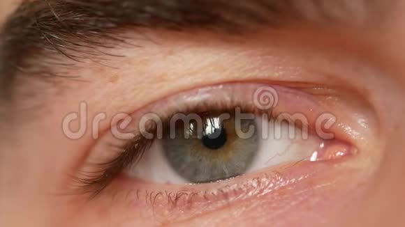 人的眼睛一个男人的大框架眼睛和一个浓密的眉毛视频的预览图