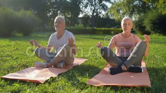 在公园里享受瑜伽的老夫妇视频的预览图