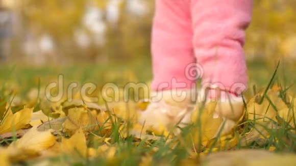 宝宝的脚沿着秋叶走慢动作视频的预览图