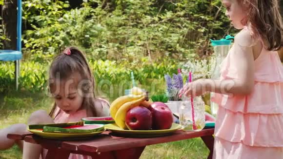 两个小女孩在夏季野餐时喝柠檬水视频的预览图