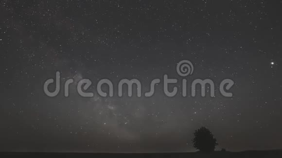 银河系在夜空中星空在寂寞树之上在夏天的草甸发光的恒星和陨石轨迹视频的预览图