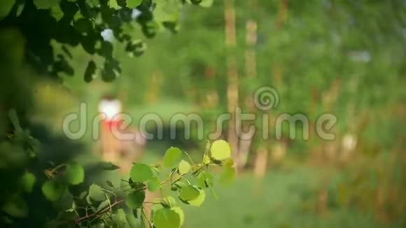 树枝在风中摇曳少女骑自行车的背景模糊绿林中夏日视频的预览图