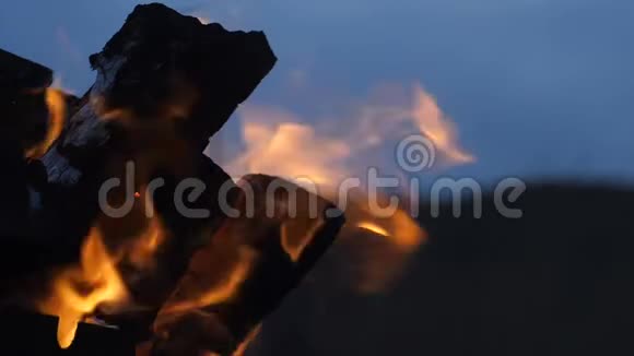 篝火慢镜头视频的预览图