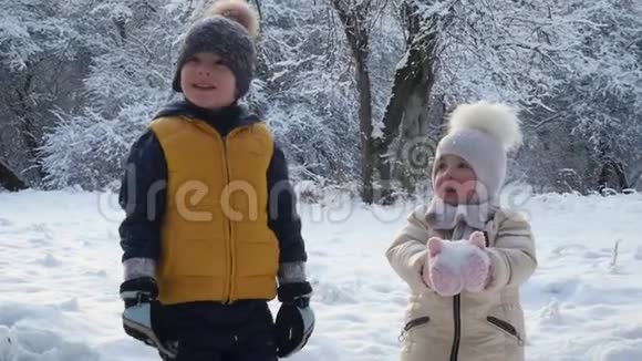 男孩和女孩看着雪从树上飘落视频的预览图