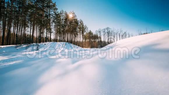 时间流逝时间阳光和移动的阴影在森林雪上的时间流逝太阳在松树上移动视频的预览图