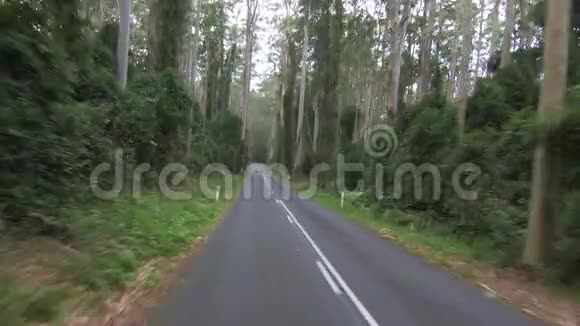 POV驾驶穿过澳大利亚Murramarang国家公园的森林道路视频的预览图