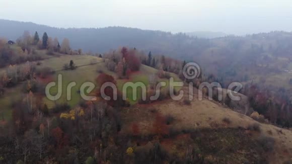 空中无人机镜头视图飞越秋山与森林和田野喀尔巴阡山脉乌克兰欧洲视频的预览图