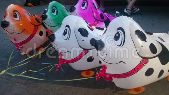 五颜六色的狗形气球营造美好的心情生日礼物和童年视频的预览图